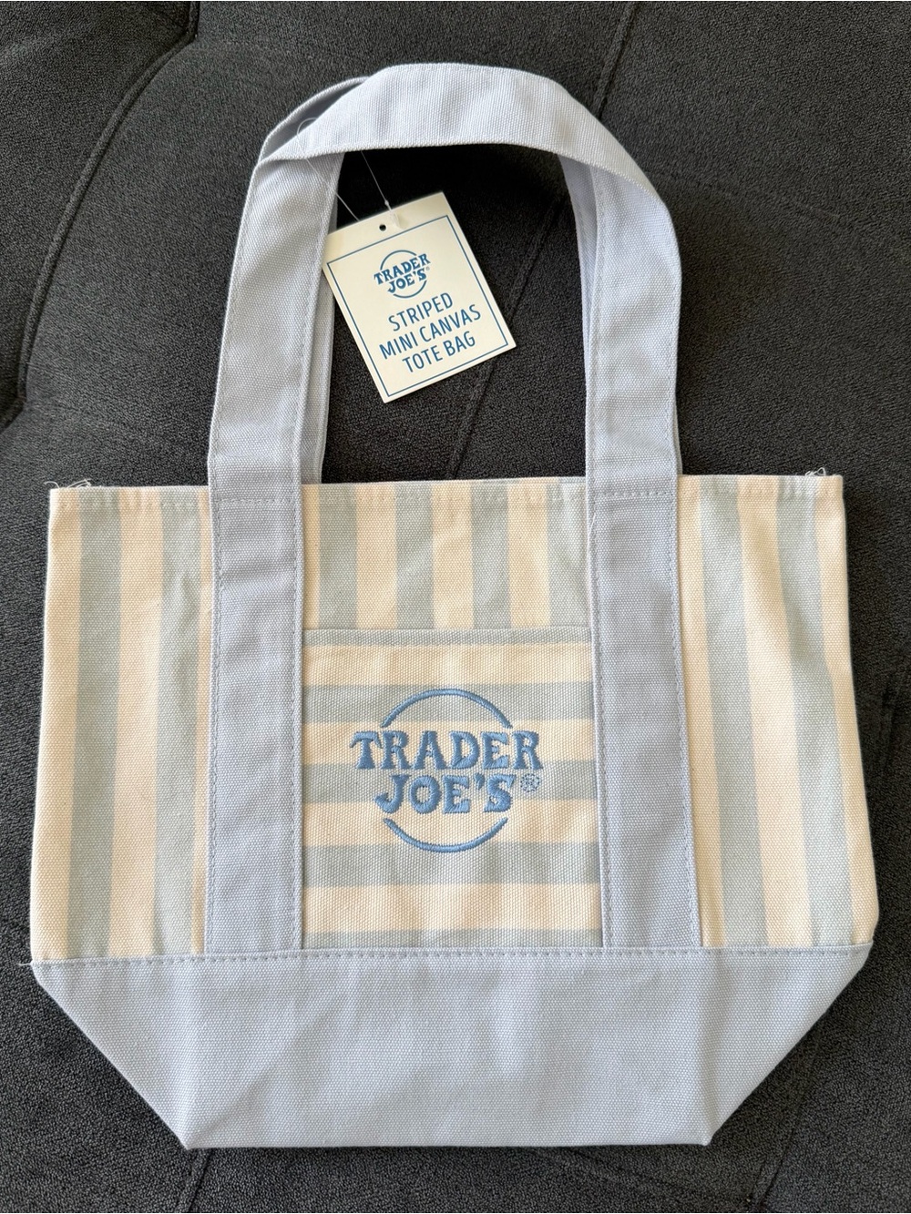 Trader Joe's Striped Mini Canvas Tote Bag - Light Blue & Cream